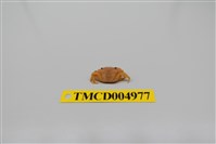 藏品(平背蜞)的圖片